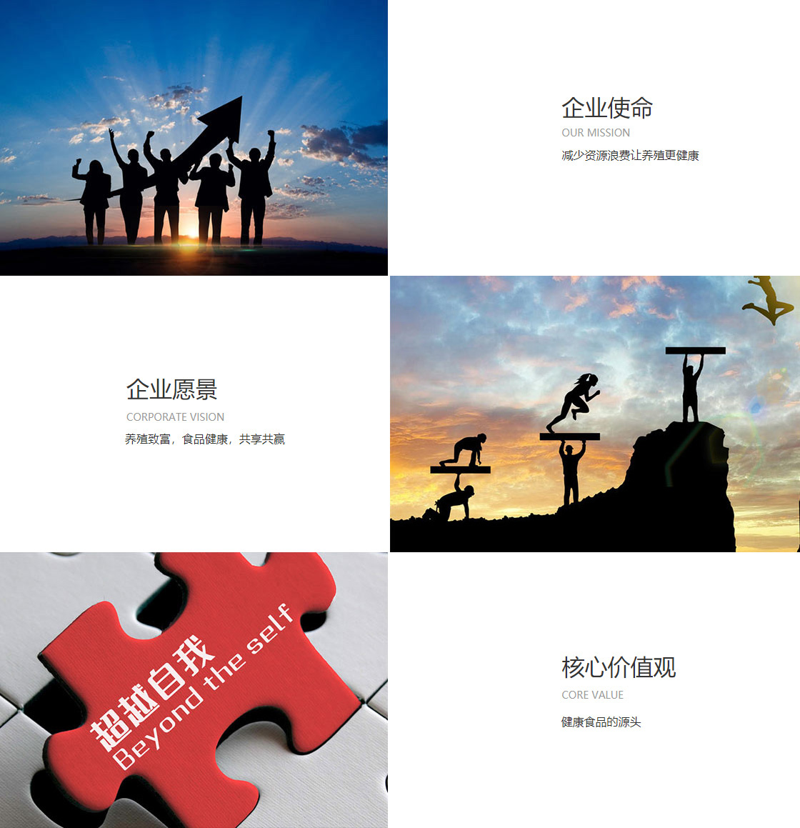 best365官网登录入口(图1)